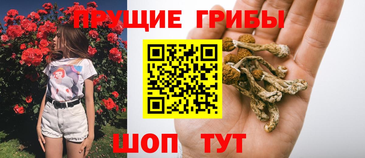 Камень-на-Оби  Псилоцибиновые грибы Magic Shrooms  Вход с VPN  Галлюциногенные грибы MAGIC MUSHROOMS 